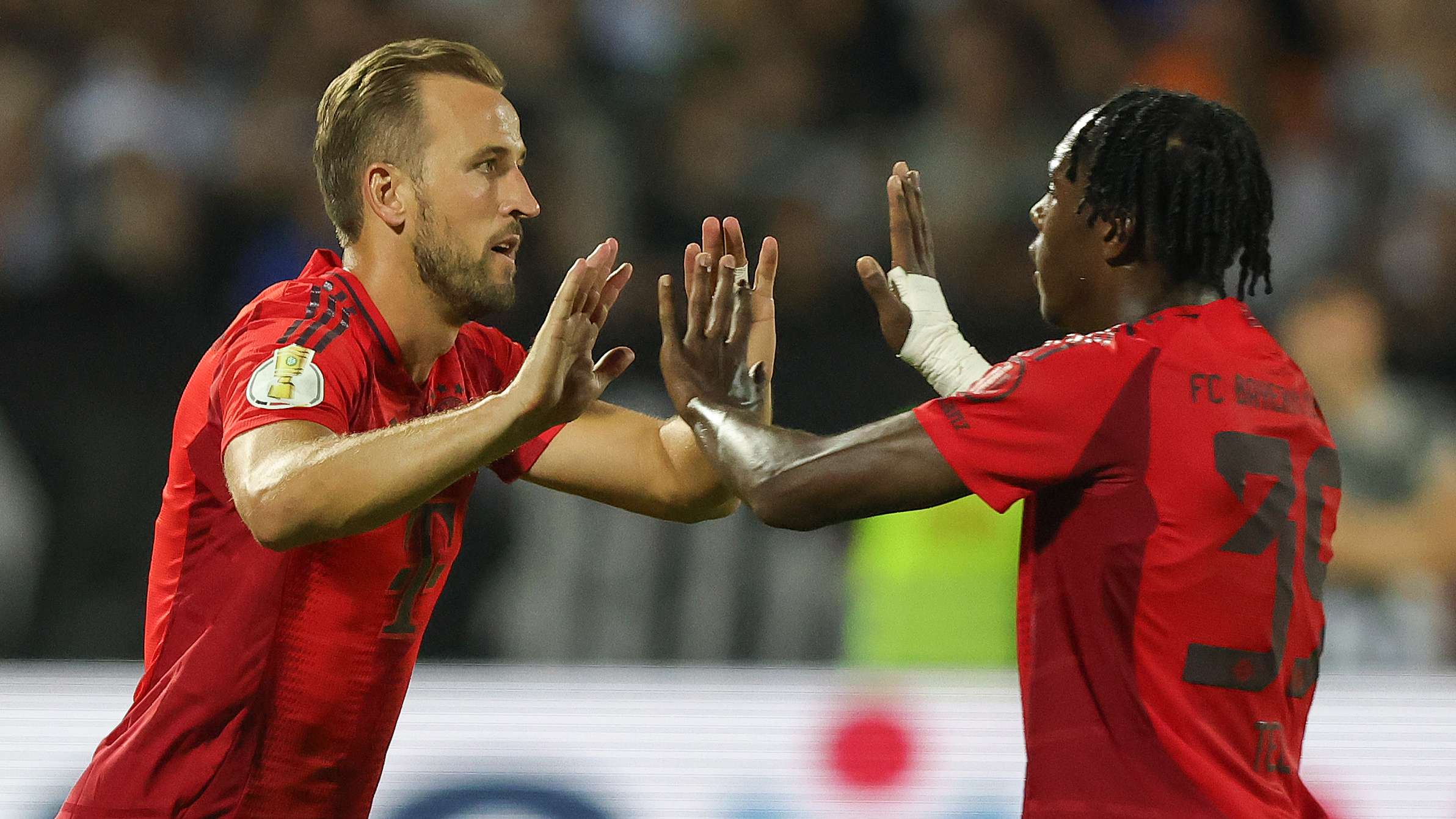 赛场上的新 赛场上的新